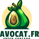 AVOCAT.FR