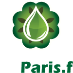 LOGO PORTFOLIO MARKY