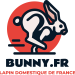 LOGO PORTFOLIO MARKY