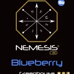 Blueberry 10 gr Recto 9,4 cm x 11,4 cm