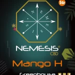 Mango H 5 gr Recto 9,4 cm x 11,4 cm